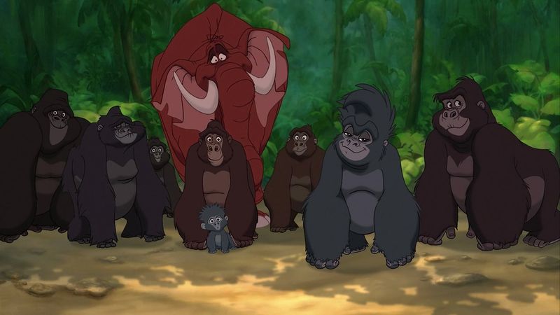 Why Can Animals Talk—But Only Some?