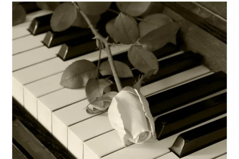 Sacred Songs Only