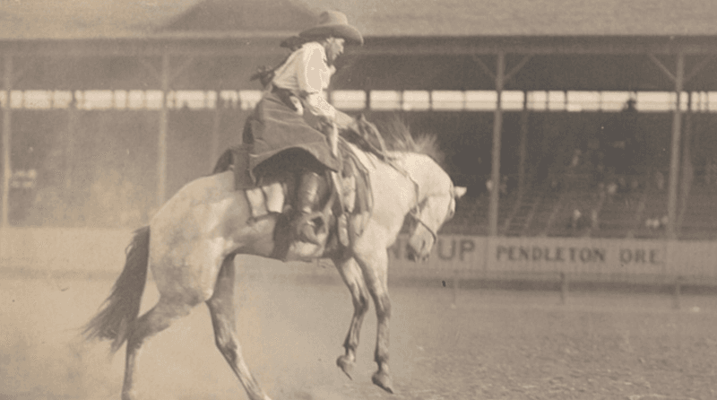 Cowgirls Make Their Mark