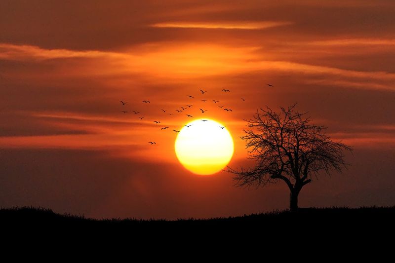 Sunset Marks The Start Of A New Day