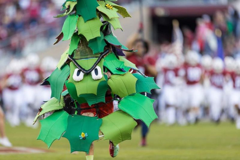 The Stanford Tree: College Sports' Weirdest Tradition