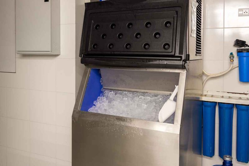 The Ice Machine Is Usually the Dirtiest Thing in the Building