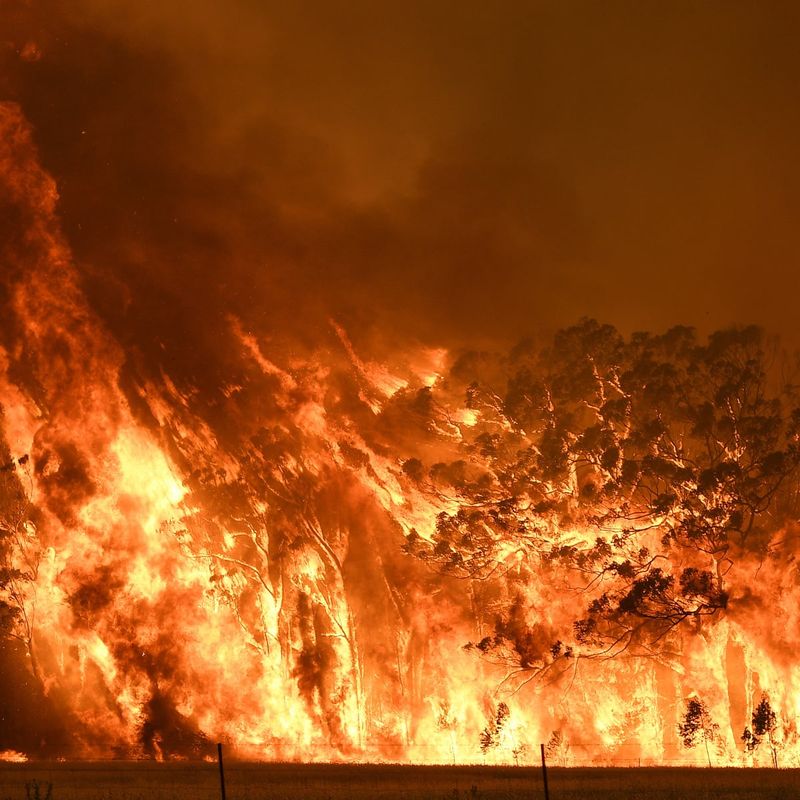 🔥 The 2020 Australian Bushfires